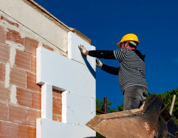 Best Geographic-Specific Insulation Services in La Vergne, TN